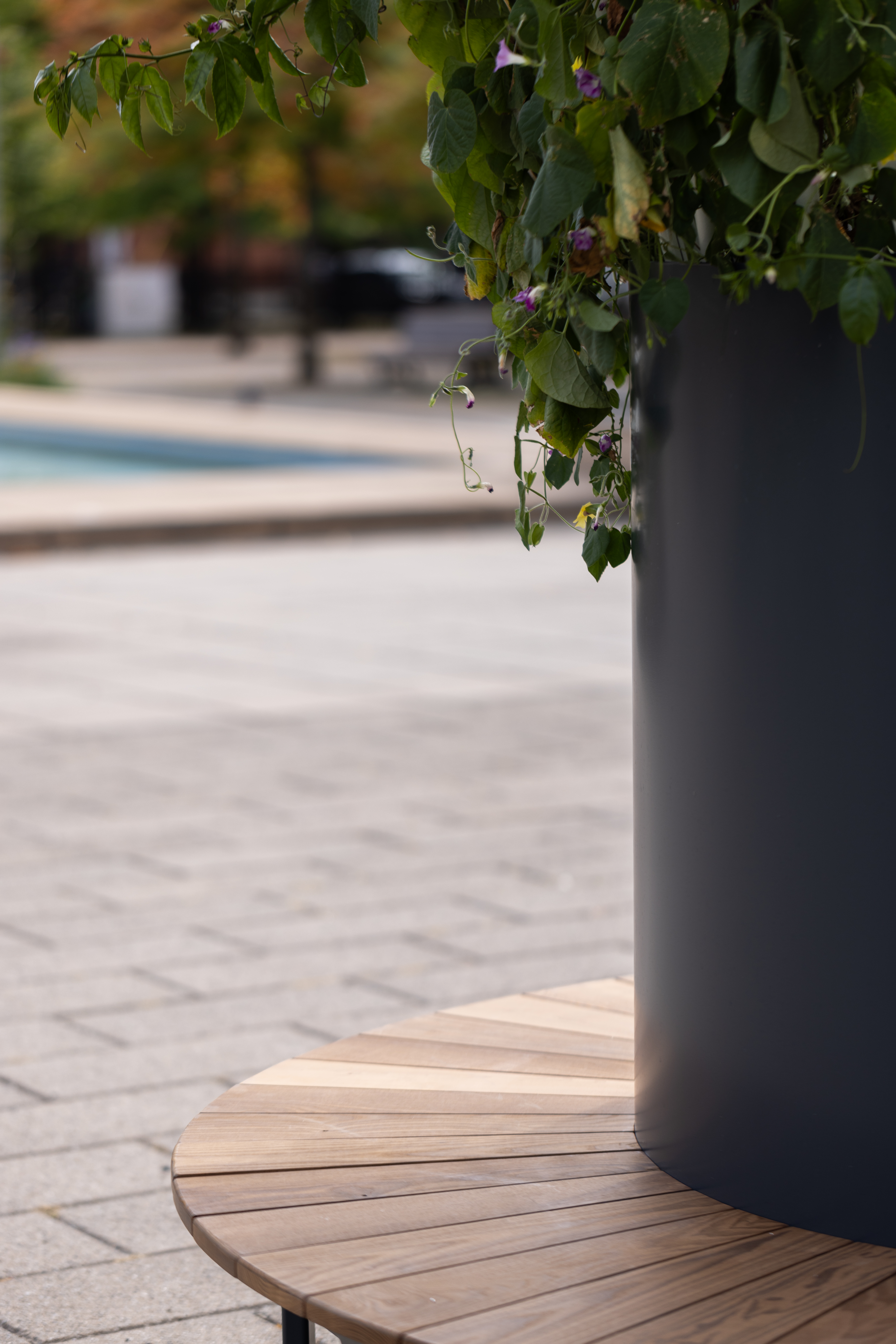 Urban Canopy Corolle-Maglin-Interview-architizer