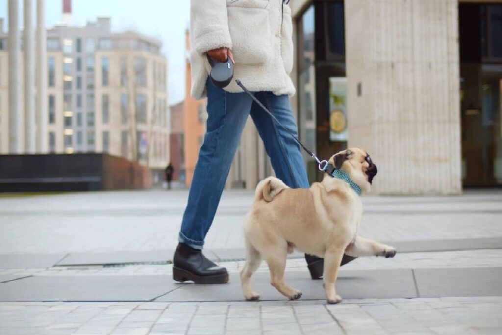 how long should walks be