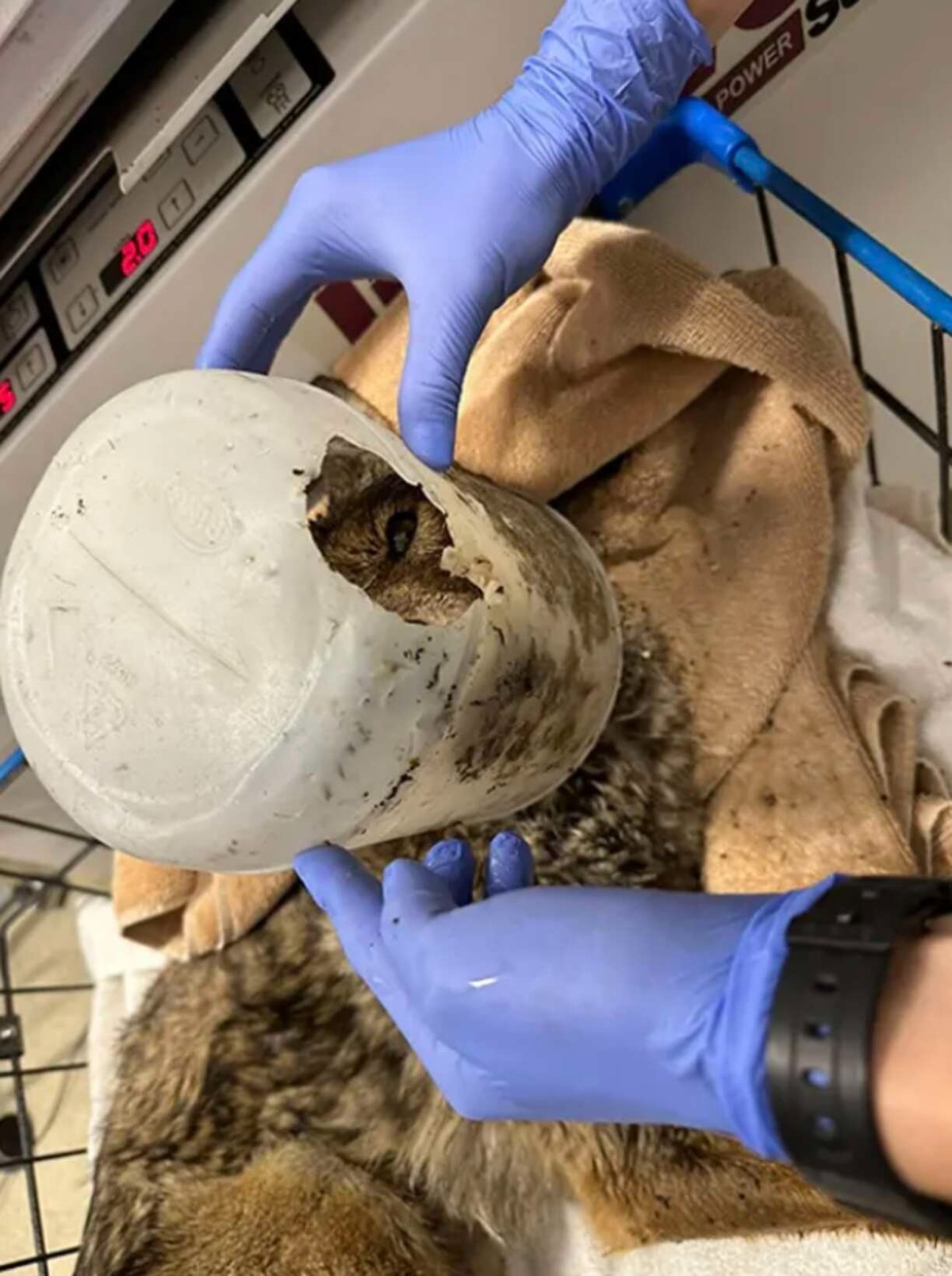 보트 구조 접근 장면