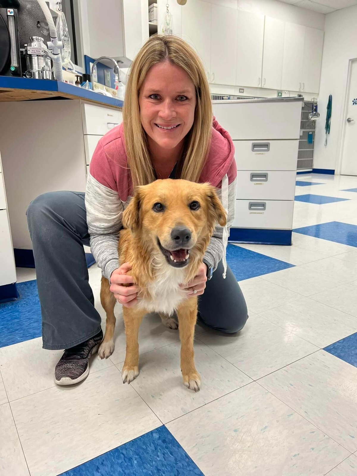 임신 사실이 밝혀진 코니