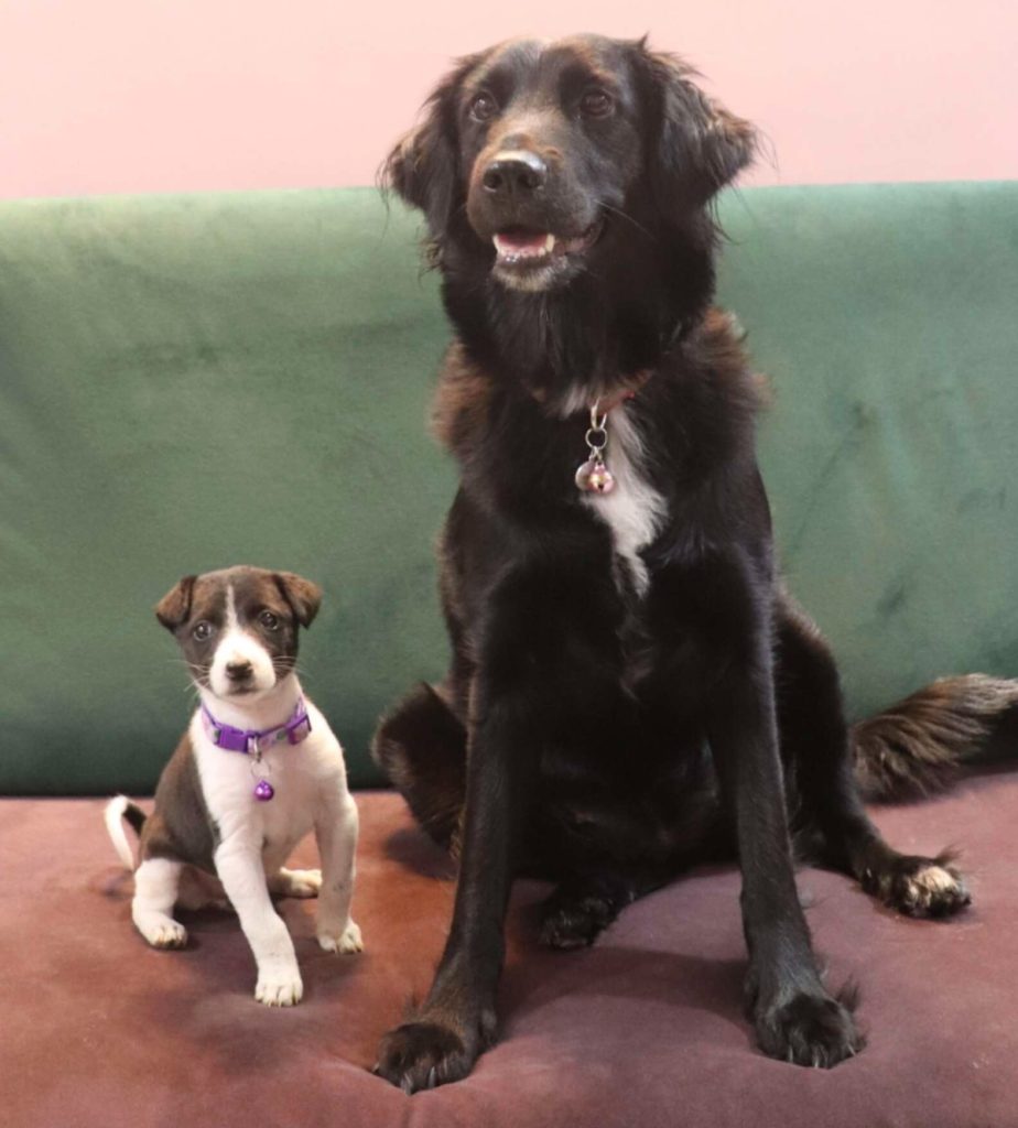 새 삶을 시작한 유키의 근황