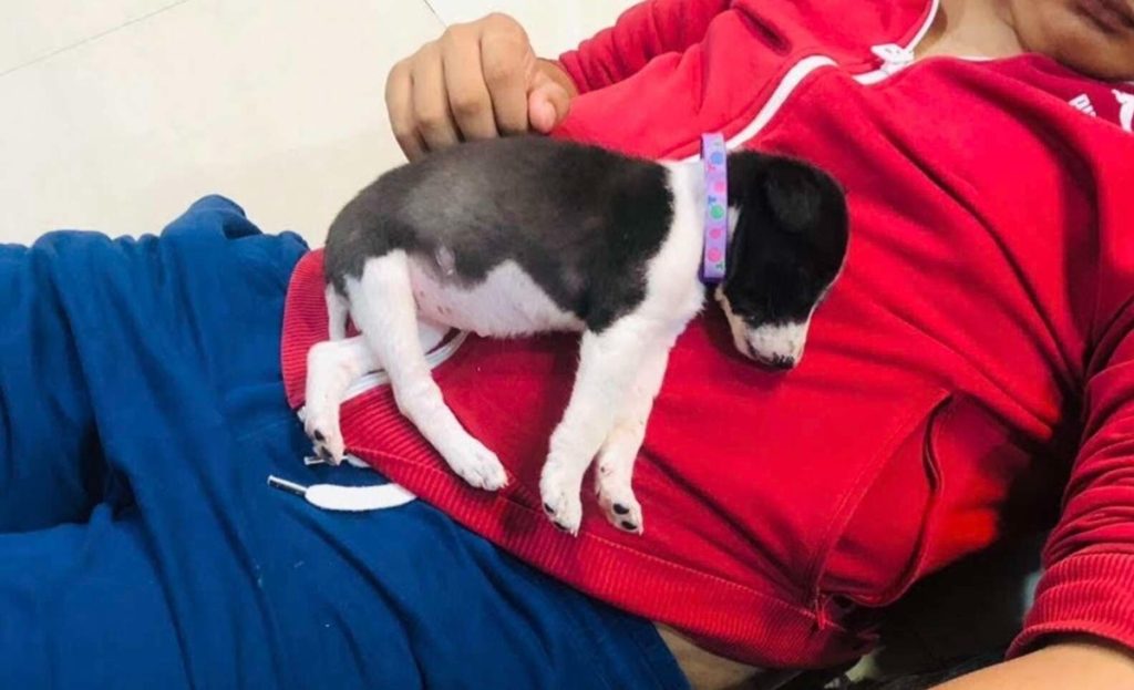 새로운 가족과 연결된 유키