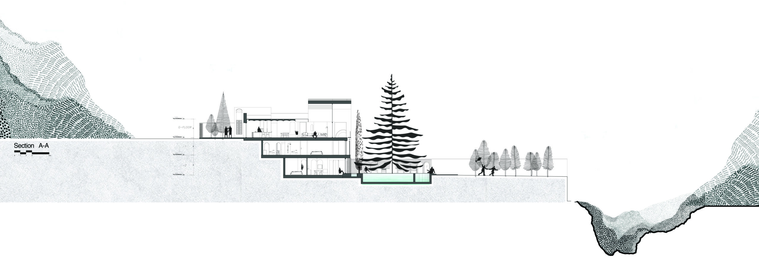 House Looking to a Cedrus Tree