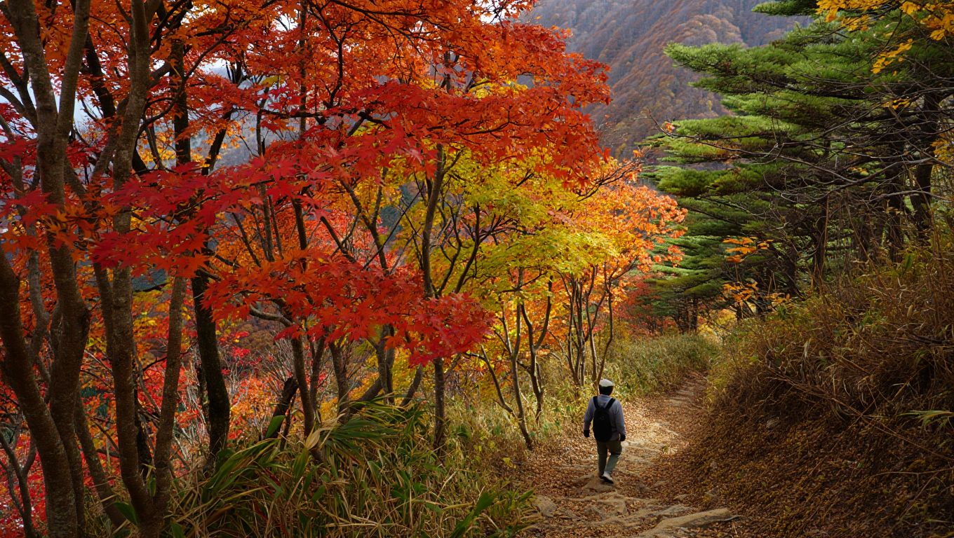 가을 단풍이 절정인 설악산을 가장 한적하게 즐길 수 있는 시간대