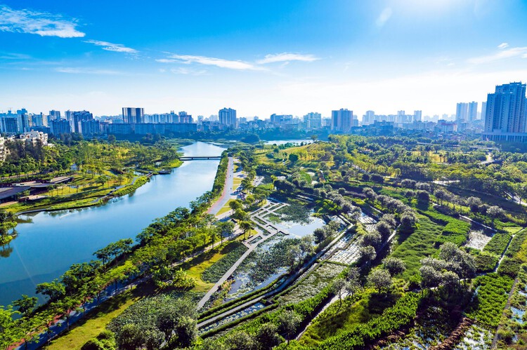 World Urban Forum 13 Concludes in Baku with Focus on Housing, Resilience, and Urban Inclusion - Image 7 of 7