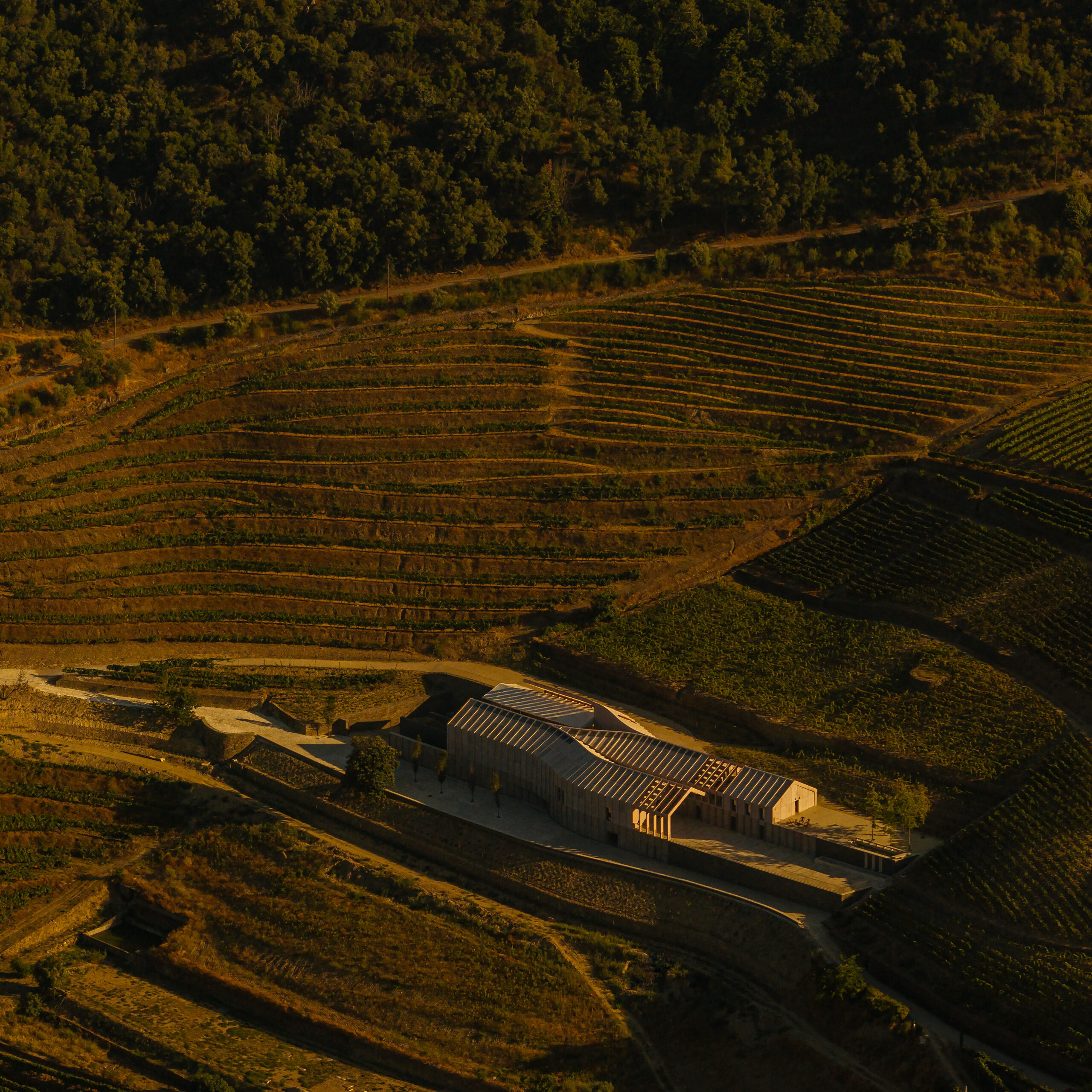 Quinta de Adorigo Winery - architizer