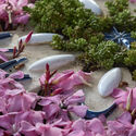 Parlour Gardens exhibition at Barcelona's Botanical Garden. June to October 2026. Image Courtesy of Marina Cervera Parlour Gardens Exhibition Displays Miniature Ceramic Landscapes at Barcelona's Botanic Garden - Image 3 of 97