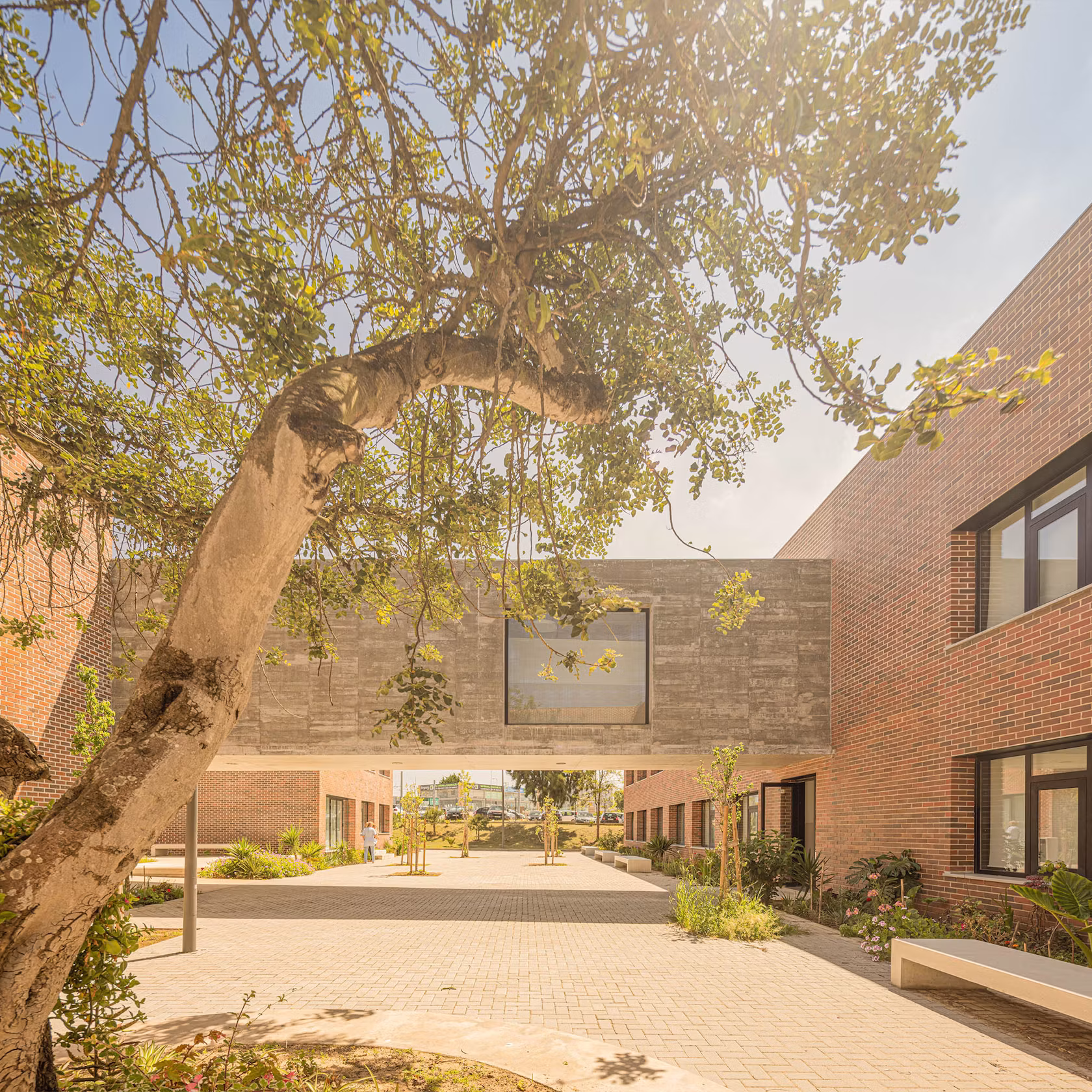 © ATELIER CENTRAL Arquitectos