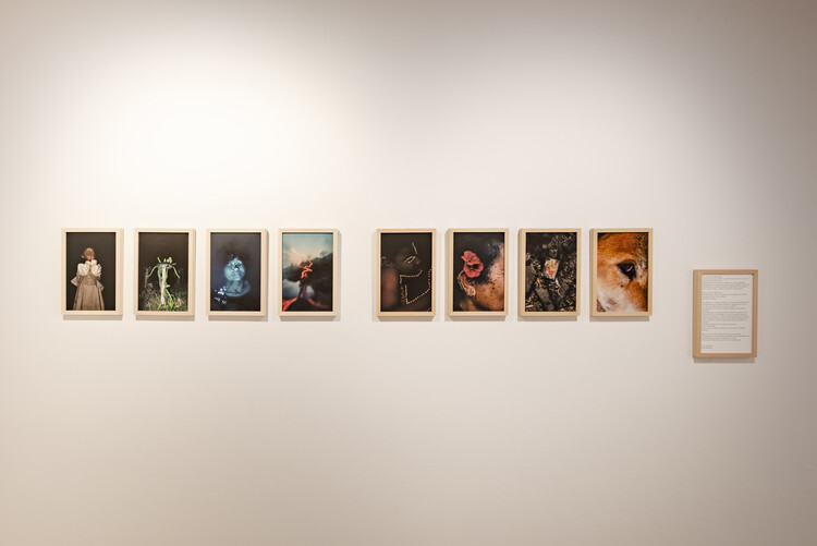 The ECC Awards Shortlist Explores Memory, Identity and Technology in Venice - Image 38 of 52