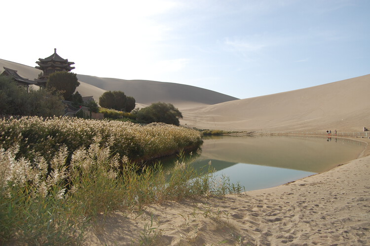 Africa and China Advance Great Green Walls as Continental Wildlife Corridors - More Images