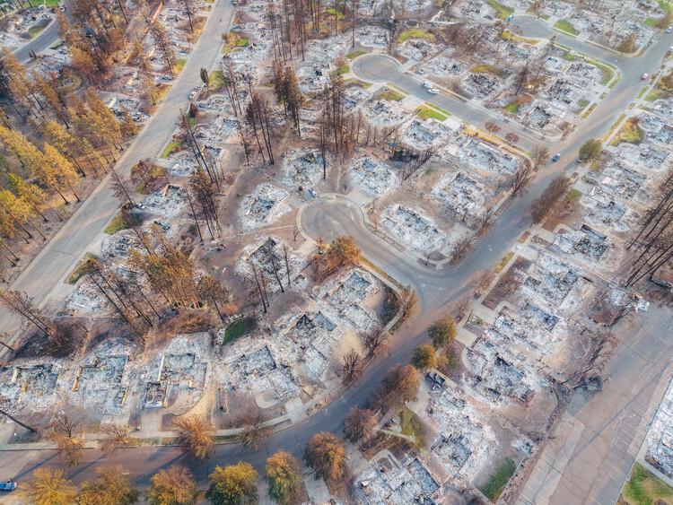 Wildfires in Algeria Highlight the Scale of the Global Fire Landscape - Image 3 of 5