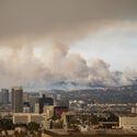 Wildfire in Pacific Palisades, Los Angeles, January 8, 2025. Image © eley archive via Shutterstock Wildfires in Algeria Highlight the Scale of the Global Fire Landscape - Image 2 of 5