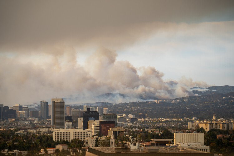 Wildfires in Algeria Highlight the Scale of the Global Fire Landscape - Image 2 of 5