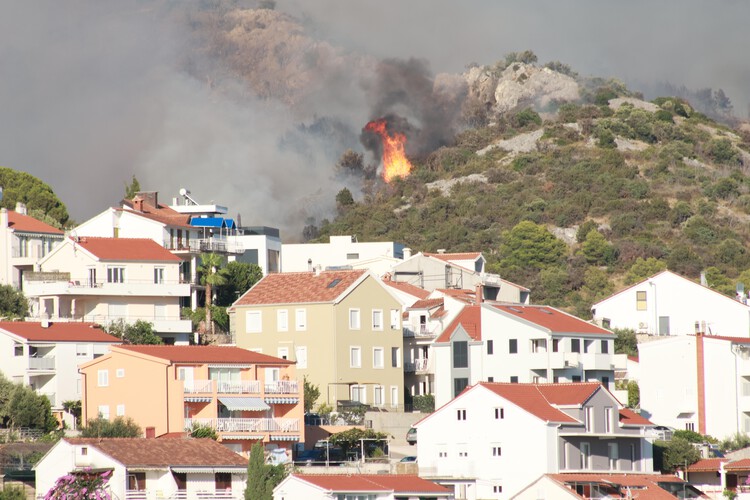 Wildfires in Algeria Highlight the Scale of the Global Fire Landscape - Image 5 of 5
