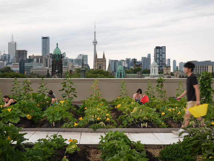 Mecanoo and RDHA's Lawson Centre for Sustainability Opens at Trinity College With a Farm-to-Table Approach - Image 14 of 35
