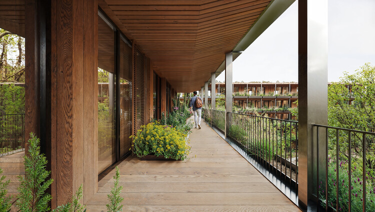 Stefano Boeri Architetti Wins Competition for Timber Affordable Housing in Ibiza - Image 4 of 7