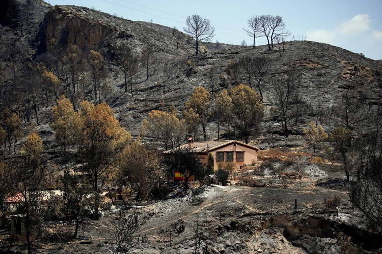 Wildfires in Algeria Highlight the Scale of the Global Fire Landscape - More Images