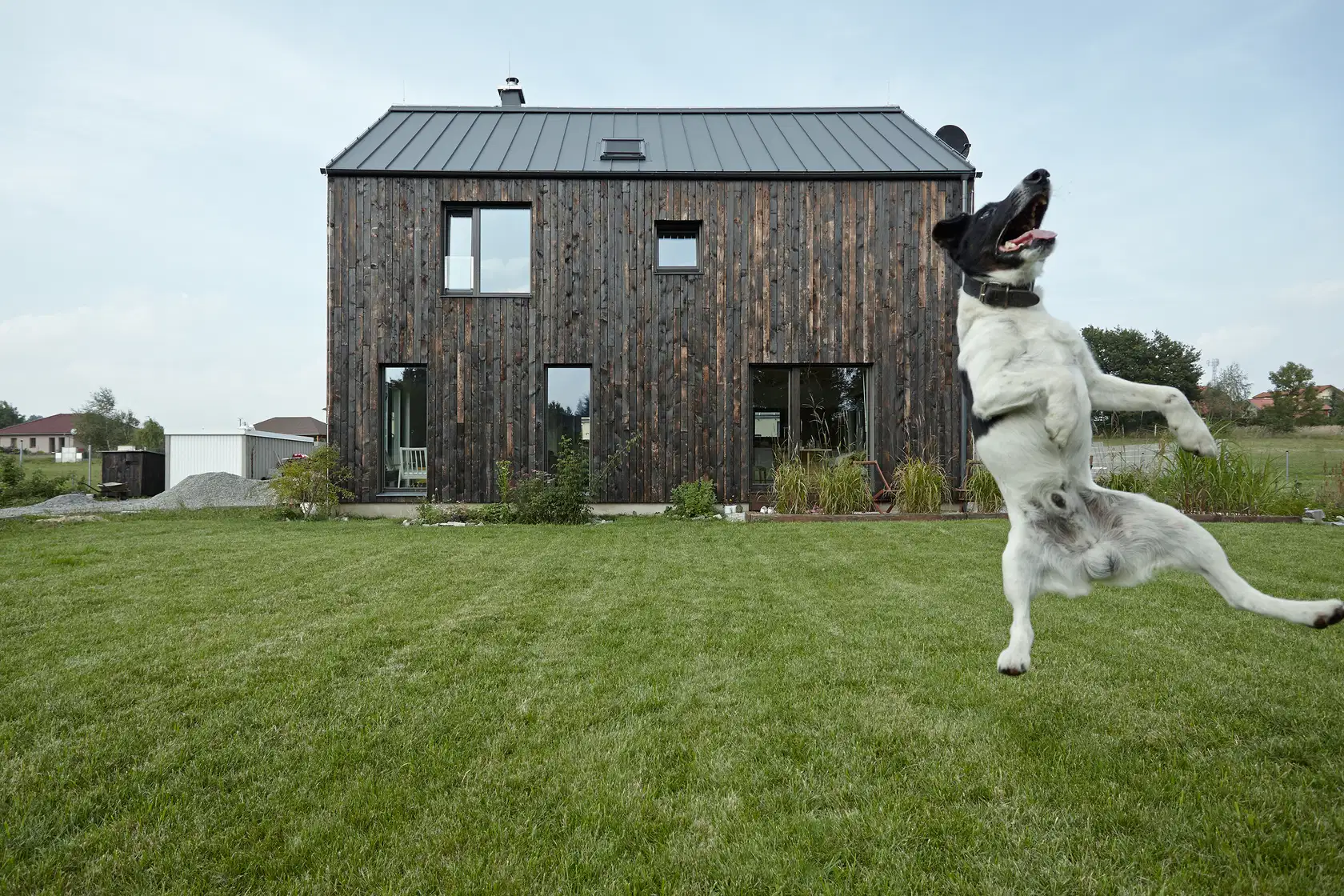© DDAANN